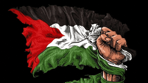 Palestine Flag